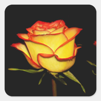 Sticker Carré Fleur rose double rouge et jaune
