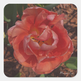 Sticker Carré fleur rouge
