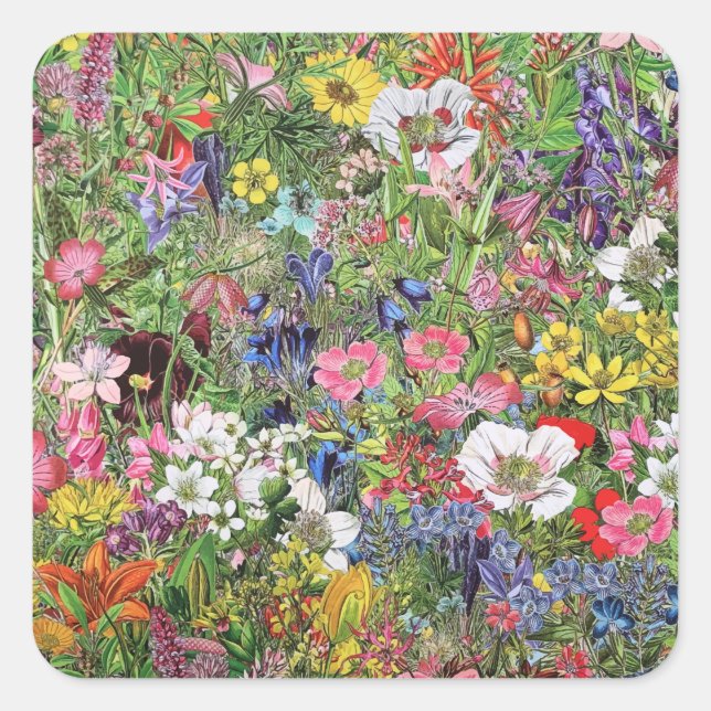 Sticker Carré Fleur sauvage de la nature en fleurs botaniques (Devant)