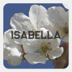 Sticker Carré Fleurs blanches mignonnes