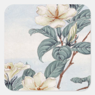 Sticker Carré Fleurs de Jasmin (Art Japonais Vintage)