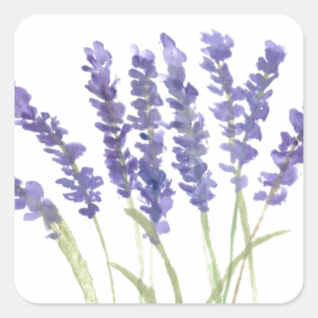 Sticker Carré Fleurs de lavande aquarelle herbes rustiques (Devant)