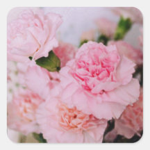 fleurs d'oeillets roses Photographie de style vint
