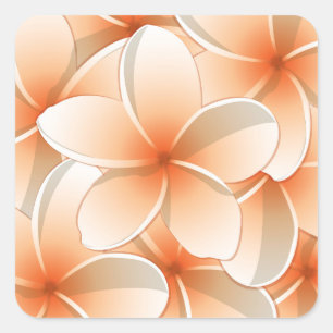 Sticker Carré Fleurs frangipani/Plumeria