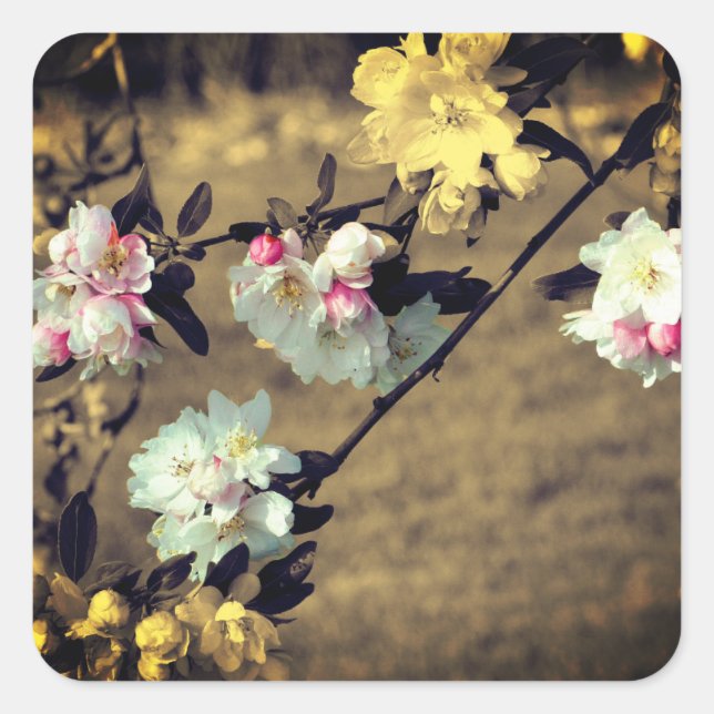 Sticker Carré Fleurs Printanières À Sepia (Devant)