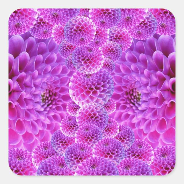 Sticker Carré Fleurs rose PomPom Dahlia (Devant)