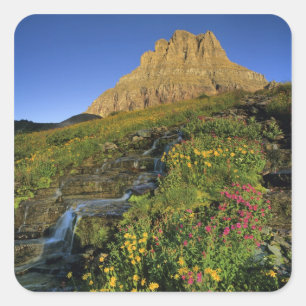 Sticker Carré Fleurs sauvages alpines & Mt Clements à Logan Pass