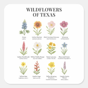 Sticker Carré Fleurs sauvages du Texas dans le style aquarelle