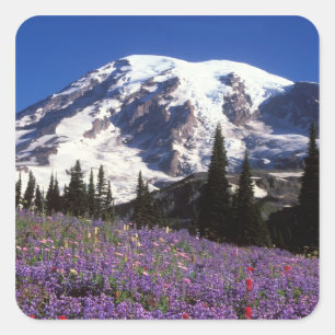 Sticker Carré fleurs sauvages estivales au pied du mont Rainier,