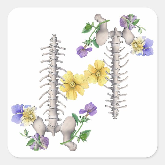 Sticker Carré Floral Anatomy - Vertebrae, Hip Bone (Devant)