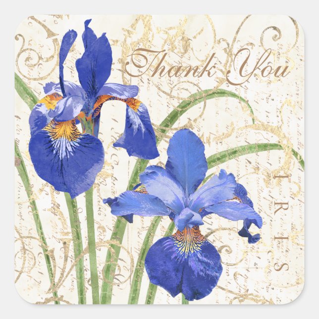 Sticker Carré Floral bleu Iris or Damask Merci (Devant)