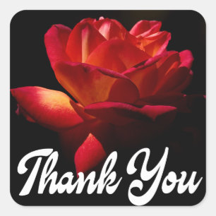 Sticker Carré Floral Merci Rouge Rose Fleur Noir Mariage