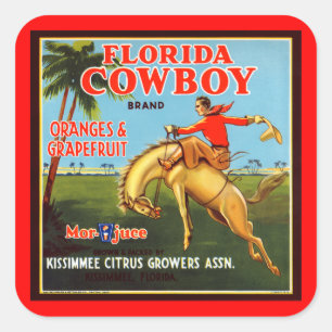 Sticker Carré Floriday Cowboy