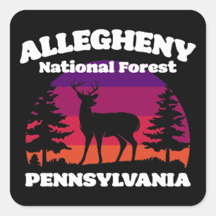 Sticker Carré Forêt nationale d'Allegheny