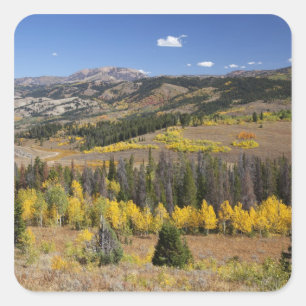 Sticker Carré Forêt nationale de Bridger-Teton