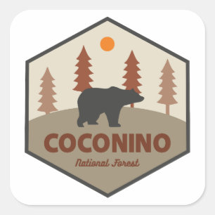Sticker Carré Forêt nationale de Coconino Bear