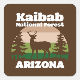 Sticker Carré Forêt nationale de Kaibab Arizona