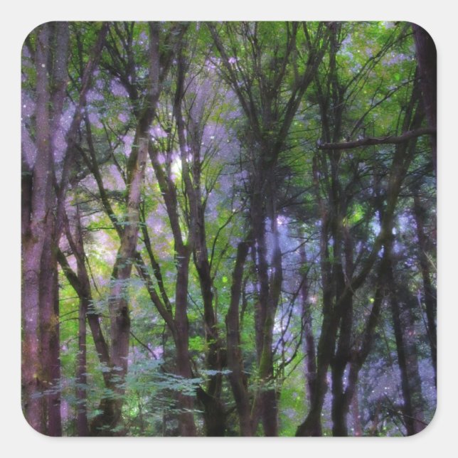 Sticker Carré Forêt surnaturelle de Fairy Lights (Devant)