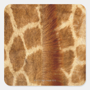 Sticker Carré Fourrure de girafe