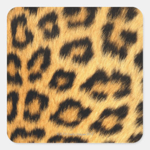 Sticker Carré Fourrure de Jaguar