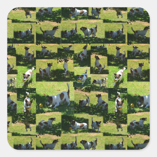 Sticker Carré Fox Terrier Photo Collage, (Devant)