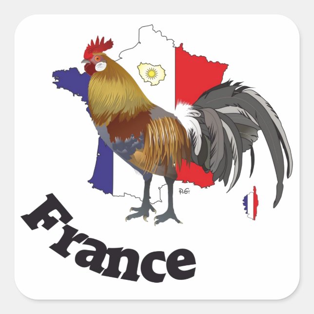 Sticker Carré France Francia (Devant)