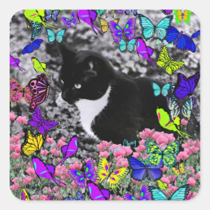 Sticker Carré Frapules dans Butterflies II - Tuxedo Cat