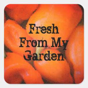 Sticker Carré Fresque Du Jardin Mosaïque Orange Chili Peppers
