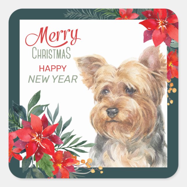 Sticker Carré Frontière du Yorkshire Terrier Poinsettia (Devant)