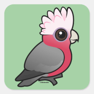 Sticker Carré Galah Birdorable