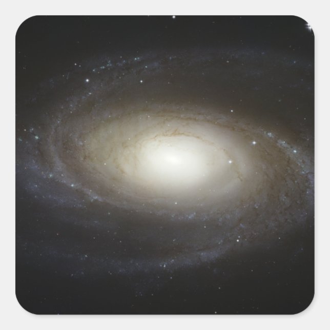 Sticker Carré Galaxie spirale M81 (Devant)