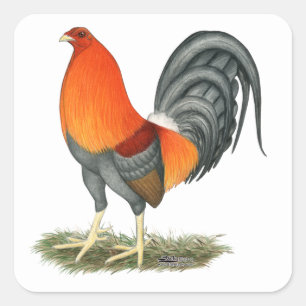 Sticker Carré Gamecock Blue Red Roster