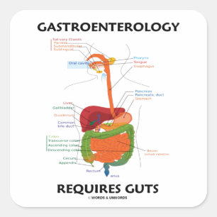 Sticker Carré Gastroentérologie Nécessite Des Guts (Système Dige