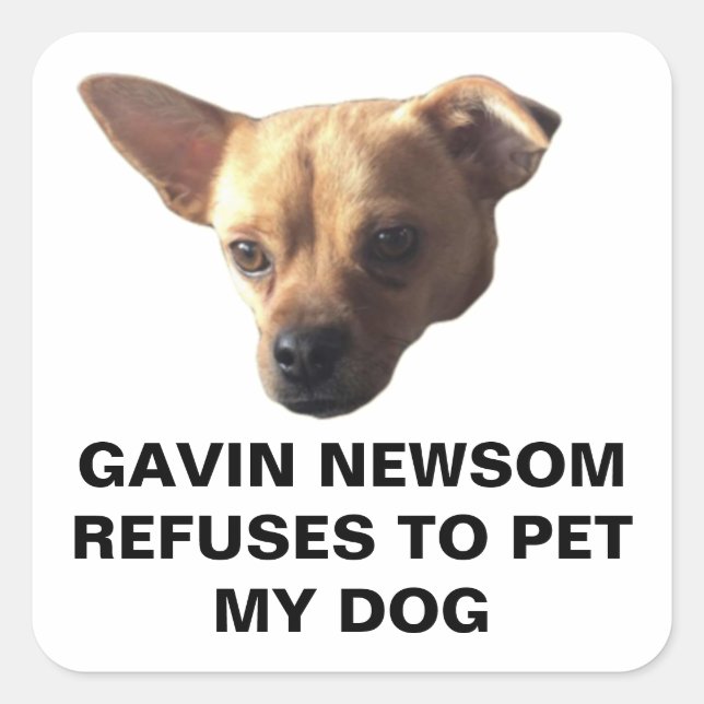 Sticker Carré Gavin Newsom Refuse De Pet Mon Chien (Devant)