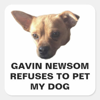 Sticker Carré Gavin Newsom Refuse De Pet Mon Chien