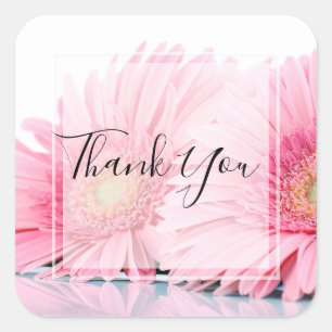 Sticker Carré Gerbera Rose Daisies Élégant Merci photo