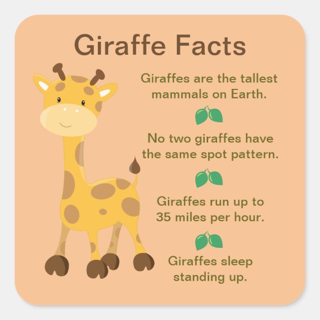 Sticker Carré Giraffe - Faits (Devant)