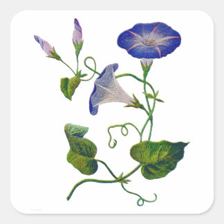Sticker Carré Glories du matin bleu brodé