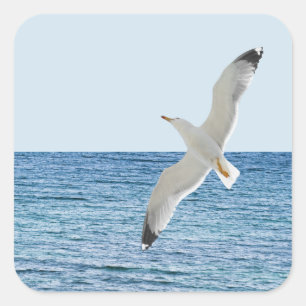 Sticker Carré Goéland volant au-dessus de la mer