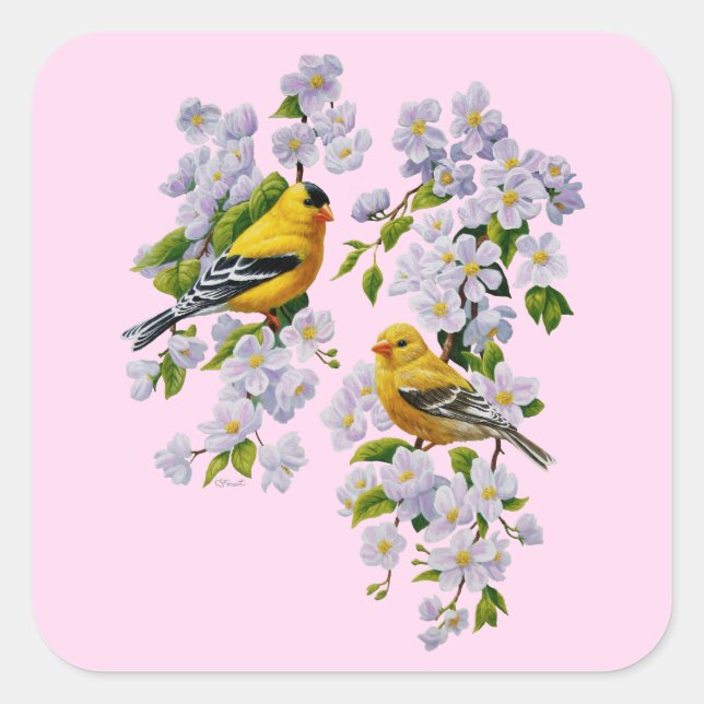 Sticker Carré Gold Finch Oiseaux & Pommier rose (Devant)