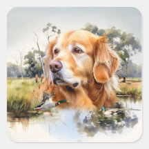 Golden Retriever