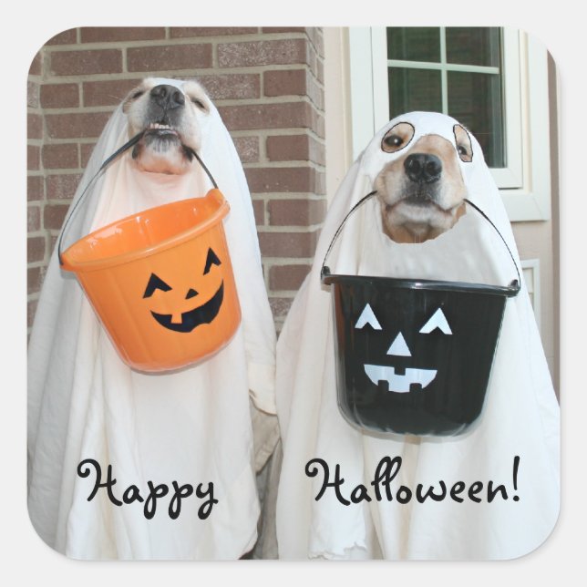 Sticker Carré Golden Retriever Halloween Ghosts (Devant)