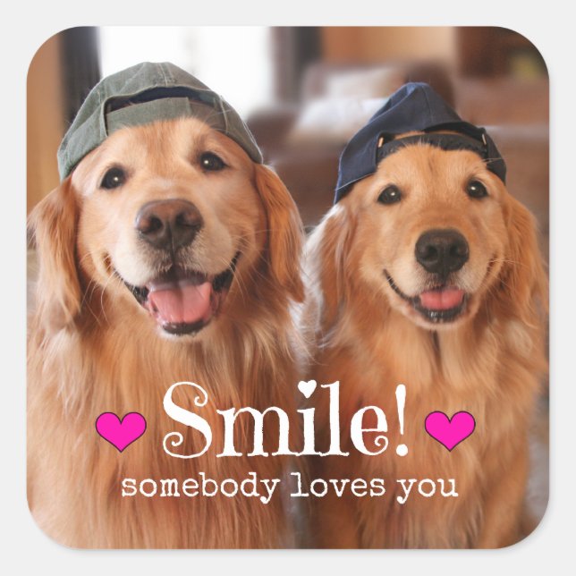 Sticker Carré Golden Retriever Quelqu'un t'aime (Devant)