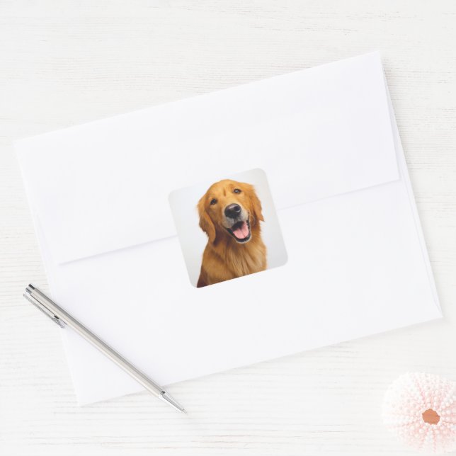 Sticker Carré Golden Retriever Smile (Enveloppe)