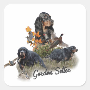 Sticker Carré Gordon Setter