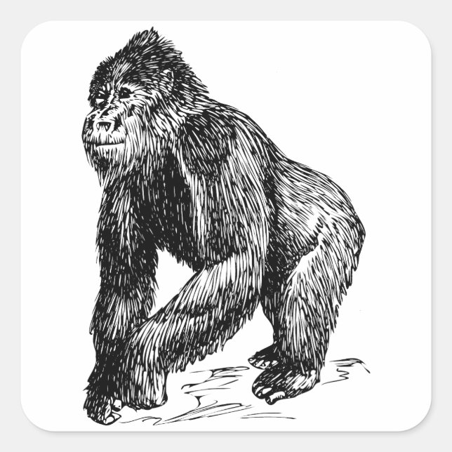 Sticker Carré Gorilla (Devant)