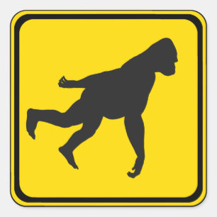 Sticker Carré Gorilla Xing !
