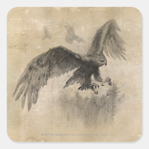 Sticker Carré Grand croquis d'Eagles