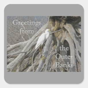 Sticker Carré Grande aigrette (Ardea alba) OBX Banques extérieur