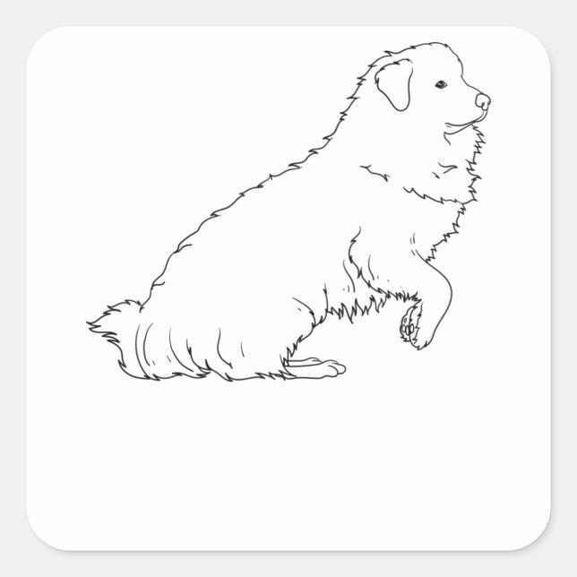 Sticker Carré Grande Pyrénées Chien Line Art (Devant)